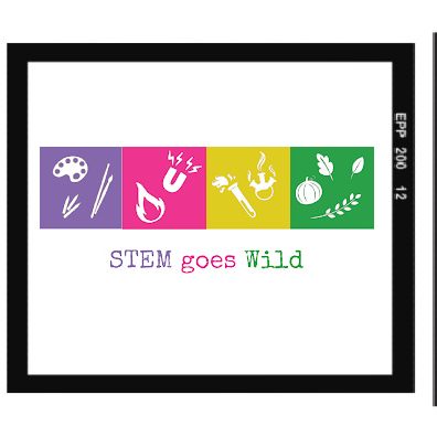 Adults Science Activities - STEM goes Wild