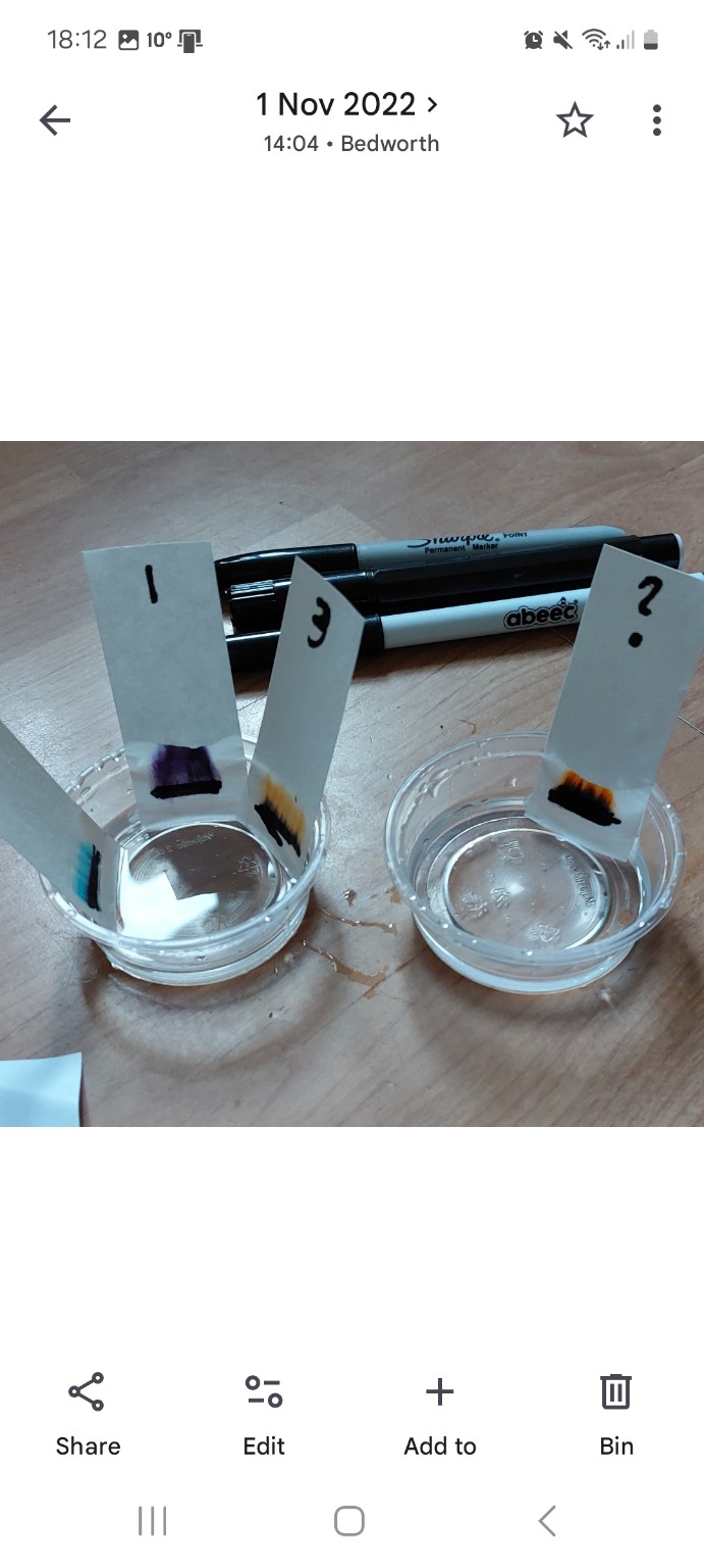 Paper chromatography revealing different colours in pen ink