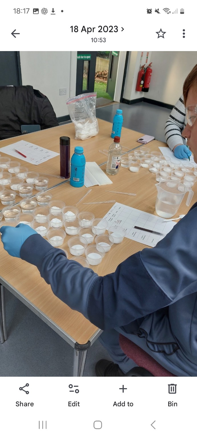 Children comparing sample cups during a STEM Goes Wild mystery powders investigation