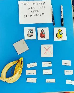 A CSI science investigation display from a STEM Goes Wild workshop