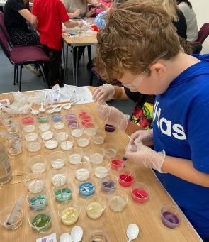 A pupil comparing colour changes during a chemistry investigation