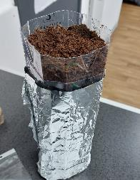 A growing model from the Plants in Outer Space workshop
